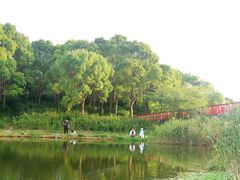 -美兰湖景区