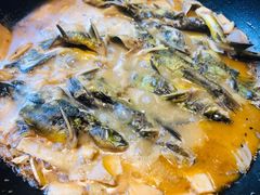 黄辣丁鲜鱼锅-小小河边鱼(天润城店)