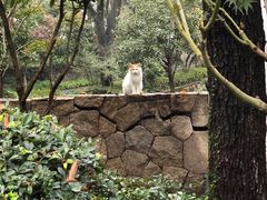 -杭州雅谷泉山庄酒店-餐厅