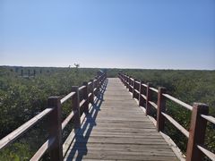 -北海金海湾红树林生态旅游区