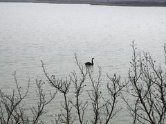 -启东黄金海滩景区