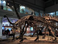 -自贡恐龙博物馆