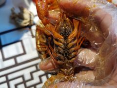 -岳州三毛·钻石卤虾(润泽园店)