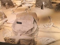 -洛阳周王城天子驾六博物馆