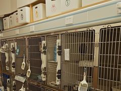 -瑞派康怡24h宠物医院·犬猫医疗中心·微创绝育(瑞景分院)
