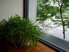 -Roots Lodge Café(仁爱旗舰店)