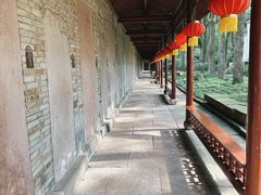 -天一阁博物院
