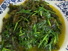 韭菜炒地衣-巢湖名吃·徽府农家菜(半汤店)