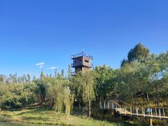 -东郊湿地公园