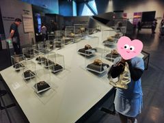 -北京周口店北京人遗址博物馆
