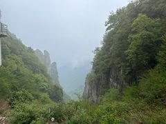 -王莽岭风景区