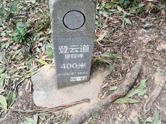 -梧桐山风景名胜区