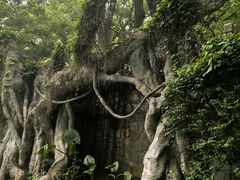 -桂林古东瀑布景区