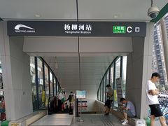-杨柳河(地铁站)