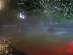 -杭州第一世界大酒店·云曼温泉