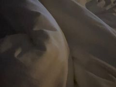 -上海静安香格里拉大酒店
