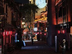 -南山植物园