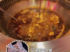 -宽尺巷鱼蛙自助火锅(虎丘钻石广场店)