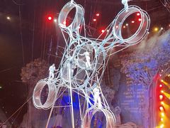 -广州长隆国际大马戏