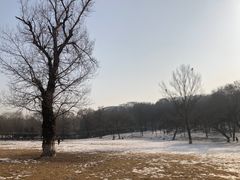 -高尔山公园