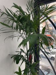 点击看大图 -魔型社烫染店