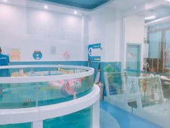 婴儿游泳区-鲸鱼堡亲子恒温泳池游泳俱乐部(彰泰天街店)