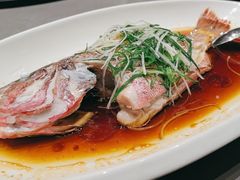 -大东海海鲜酒楼(渔人码头总店)