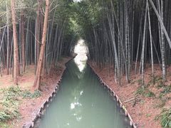 -同里国家湿地公园
