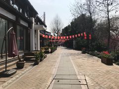 -运河游船(武林门码头)