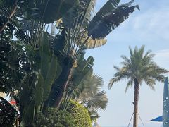 -深圳大梅沙京基洲际度假酒店