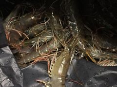 -众彩物流水产市场