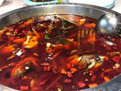 -蛙一刀·麻椒鱼火锅(金仙桥店)