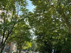 -浙江大学(玉泉校区)