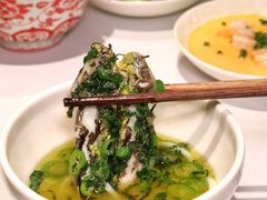 -柴门·头啖汤(天安千树店)