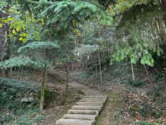 -上海佘山国家森林公园天马山园