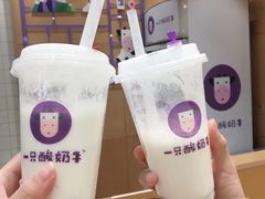 -一只酸奶牛(八一路店)