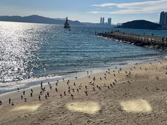 -海云台海滩