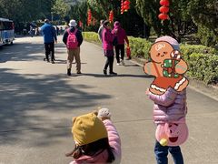 -南沙天后宫景区