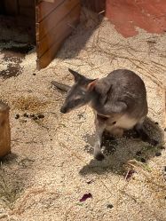 -Zoolung Zoolung动物主题公园(海信广场店)