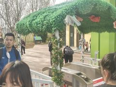 -西部长青自然儿童乐园