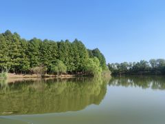-苏州太湖国家湿地公园