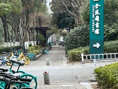 -金陵图书馆
