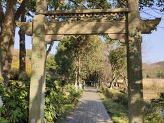 -白马涧龙池景区