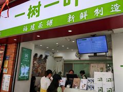 -一树一叶·福建茶档(石鼓路店)