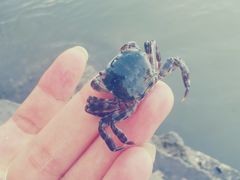 -天津东疆湾沙滩景区