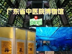 -广东中医药博物馆