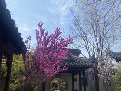 -宛园