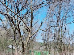 -西湖风景区-江洋畈生态公园