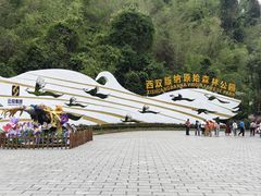 -西双版纳原始森林公园