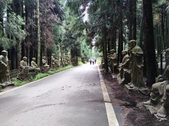 -武陵山森林公园